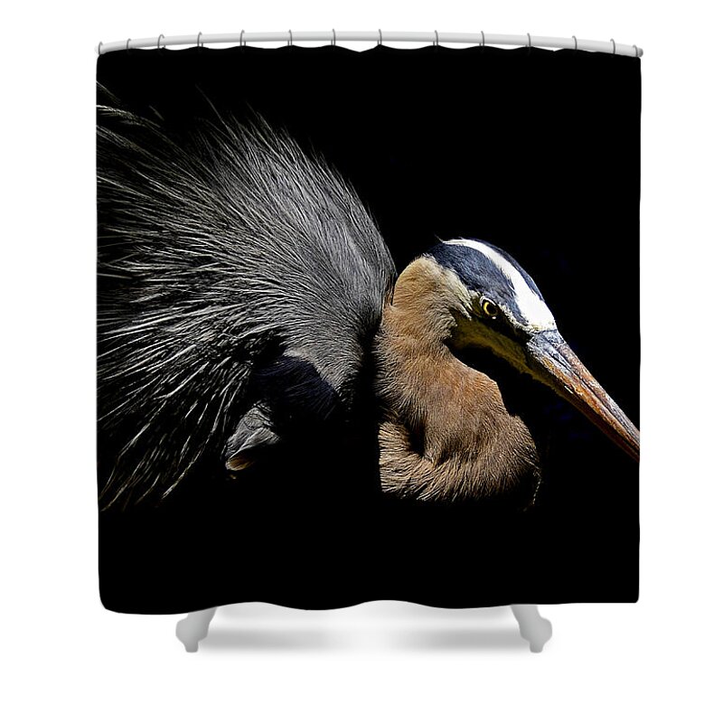 Heron Shower Curtain featuring the photograph Dappled Light by Stuart Harrison