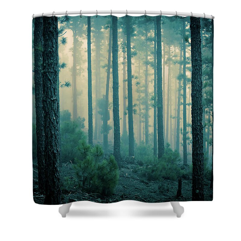 Dawn Shower Curtain featuring the photograph Dark Mystery Forest In The Fog by Zodebala