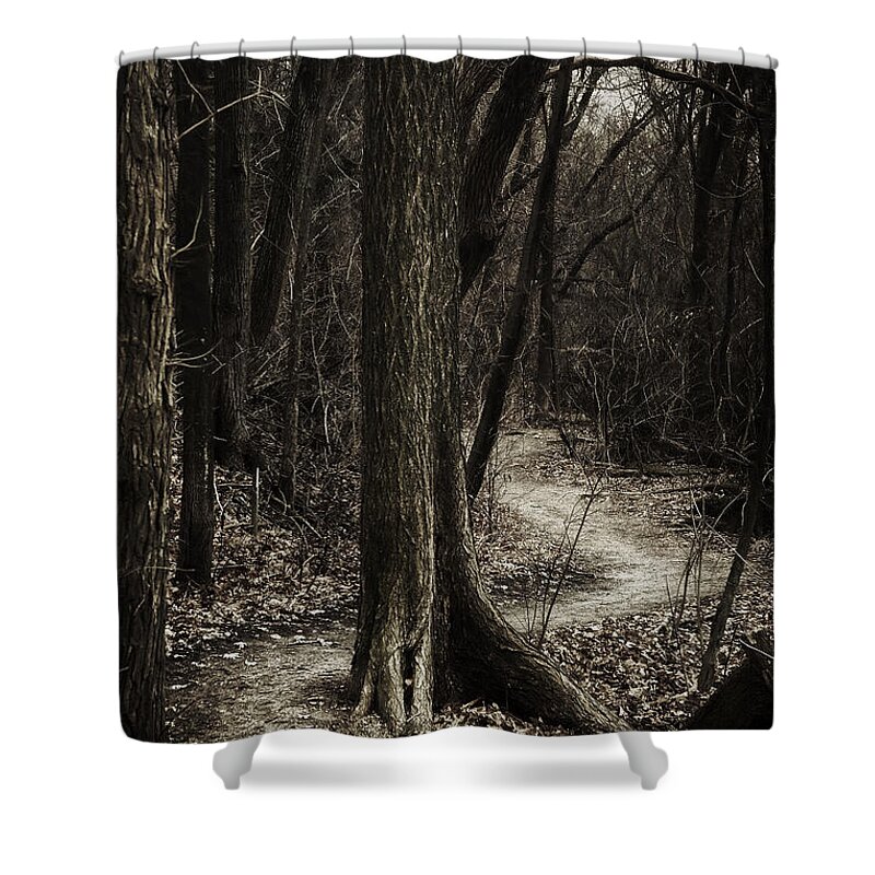 Path Shower Curtain featuring the photograph Dark Winding Path by Scott Norris
