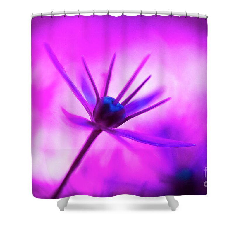 Flower Shower Curtain featuring the photograph Daydream by Casper Cammeraat