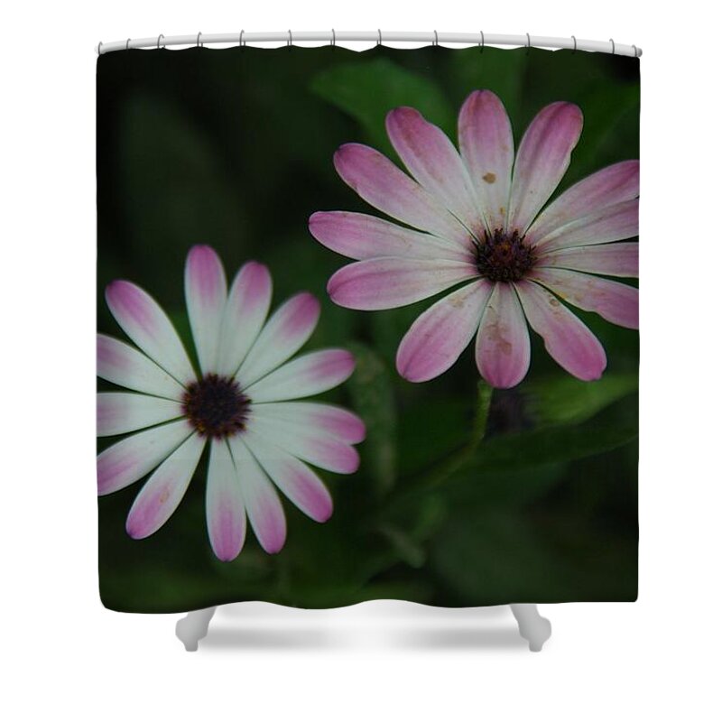 Flowers Shower Curtain featuring the photograph Dbg 041012-0110 by Tam Ryan