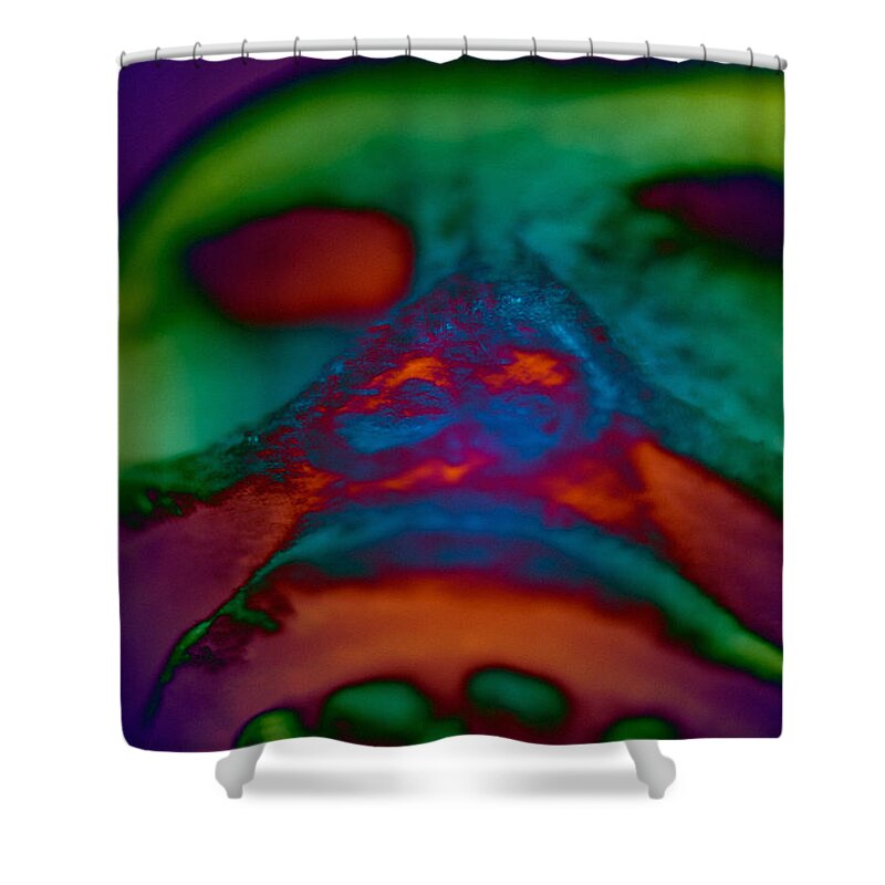 Mexico Shower Curtain featuring the photograph De Los Muertos by WB Johnston