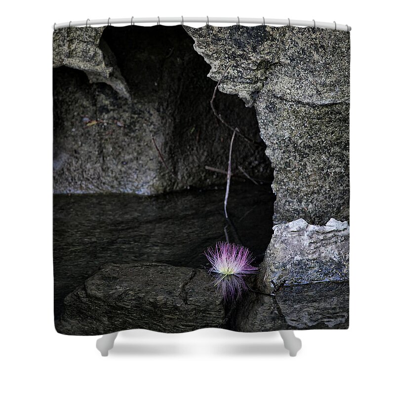 Minimalism Shower Curtain featuring the photograph Dead Flower Floating by Michael Dougherty