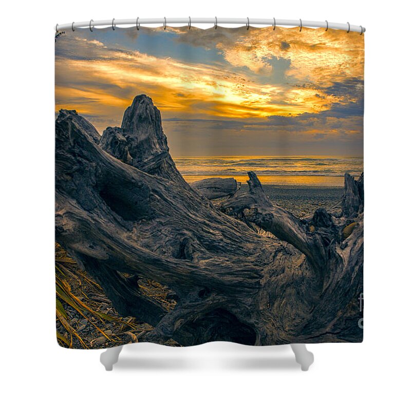 Dead Tree On Beach Shower Curtain featuring the photograph Dead tree at sunset by Sheila Smart Fine Art Photography