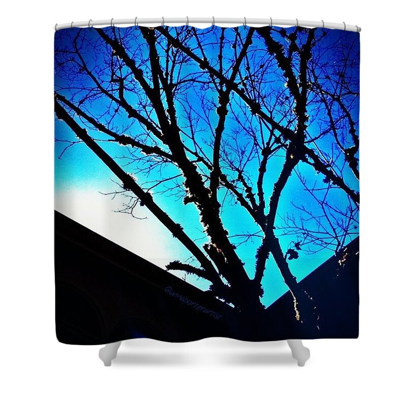 Rebel_sky Shower Curtain featuring the photograph Dead Tree Limbs Against A Blue Sky by Anna Porter