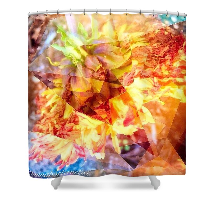 Mybest_edit Shower Curtain featuring the photograph Death Of A Dahlia Abstracted, A by Anna Porter