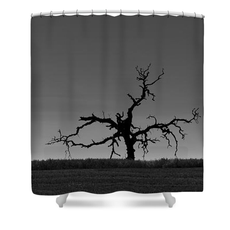 Death Shower Curtain featuring the photograph Death of a Tree by B Christopher