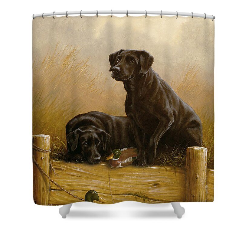 Lab Shower Curtain featuring the painting Decoy dawn by John Silver