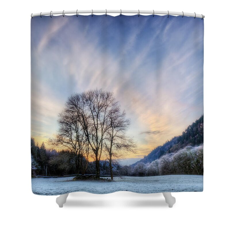Winter Shower Curtain featuring the photograph Deep frost by B Cash