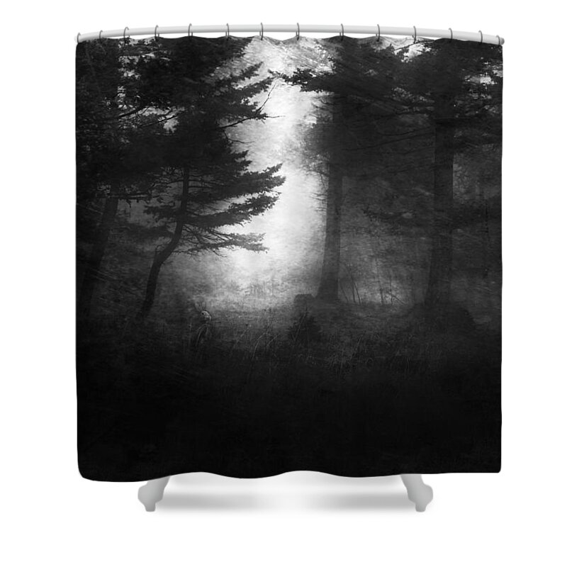 Rabbit Shower Curtain featuring the photograph Deep In The Dark Woods by Theresa Tahara