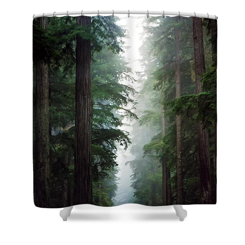 Forest Shower Curtain featuring the photograph Deep in the Forest by Debby Richards