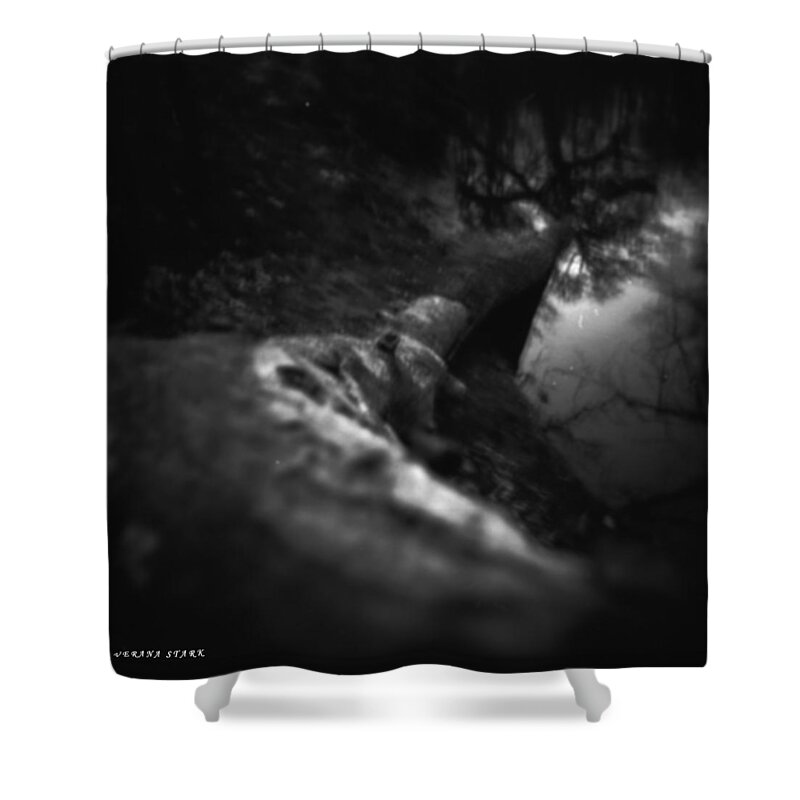 Tree Shower Curtain featuring the photograph Deep in the Forest by Verana Stark