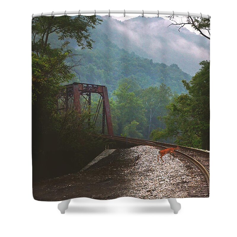 Animals Shower Curtain featuring the photograph Deer Crossing by Lisa Lambert-Shank