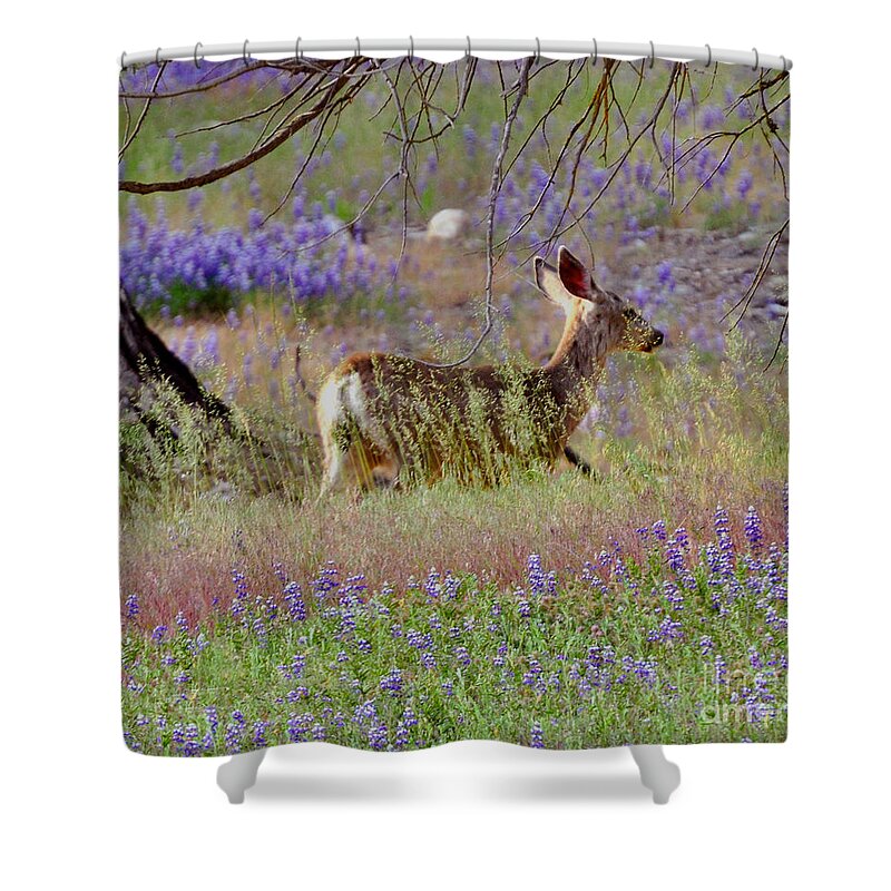 Sequoia National Park; Sequoia; Deer Shower Curtain featuring the photograph Deer in the Meadow by Debby Pueschel