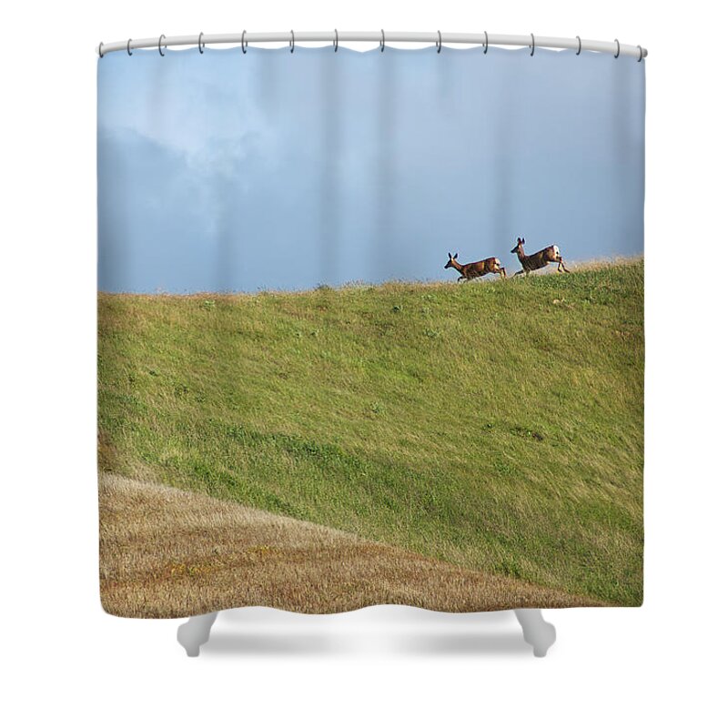 Deer Shower Curtain featuring the photograph Deer Taking Flight by Mary Lee Dereske