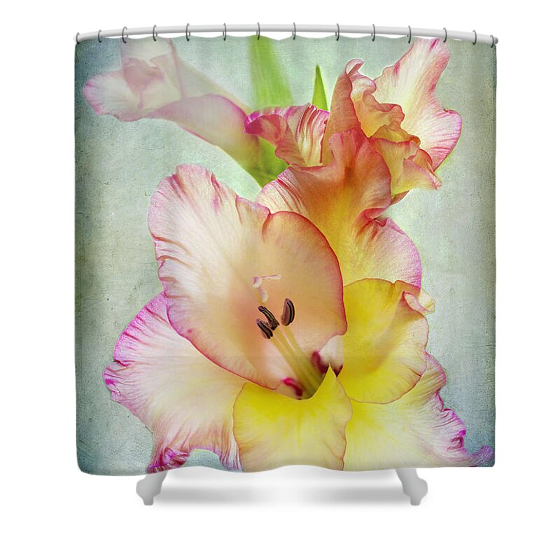 Gladiolus Shower Curtain featuring the photograph Delicate Beauty by Marina Kojukhova