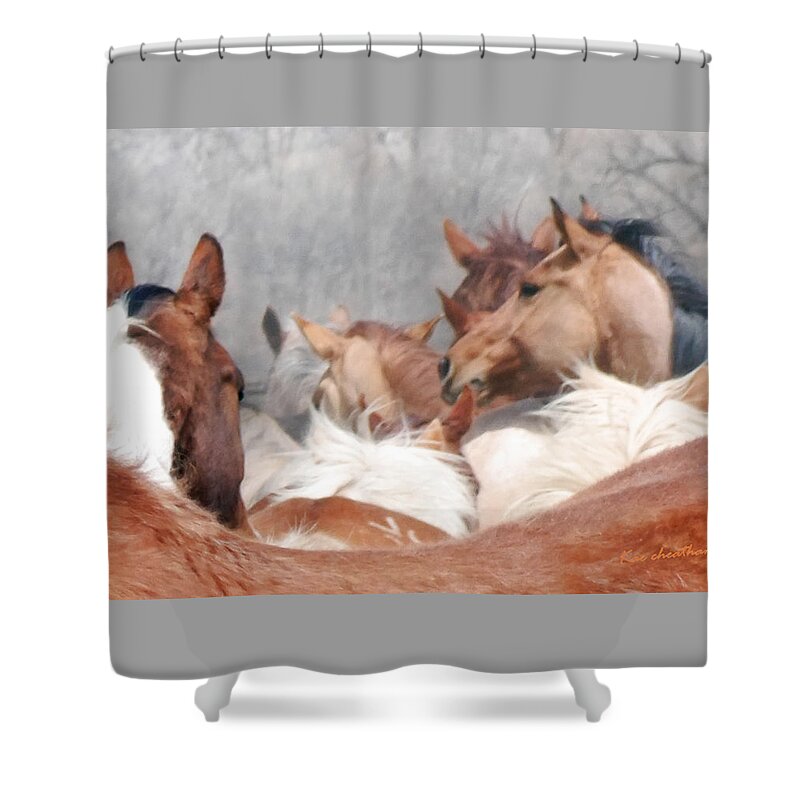 Horses Shower Curtain featuring the photograph Delicate Illusion by Kae Cheatham