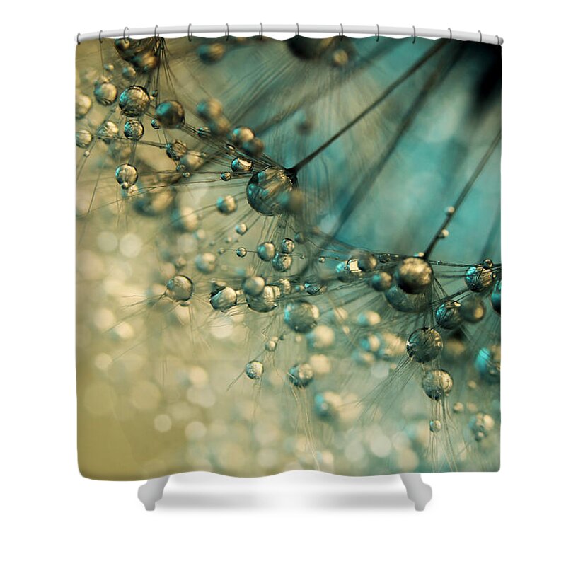 Dandelion Shower Curtain featuring the photograph Delicious Dandy Drops by Sharon Johnstone