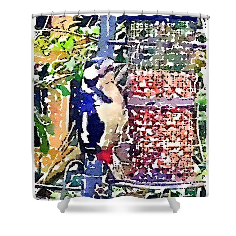 British Birds Shower Curtain featuring the painting Dendrocopos major 'Great Spotted Woodpecker' by Vix Edwards