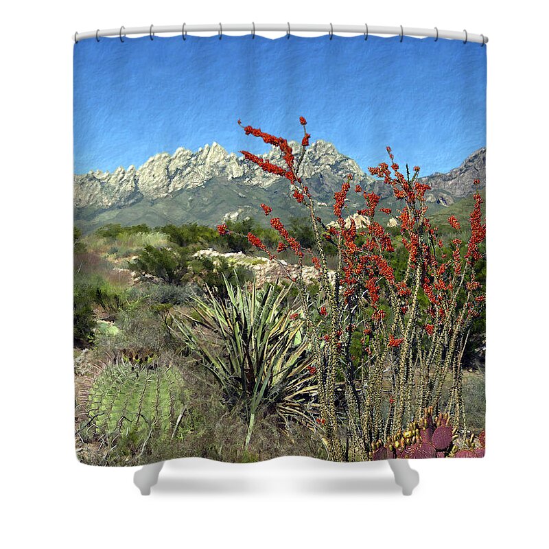 Desert Shower Curtain featuring the photograph Desert Bloom by Kurt Van Wagner