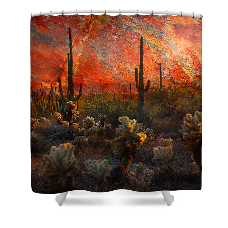 Cacti Shower Curtain featuring the photograph Desert Burn by Barbara Manis