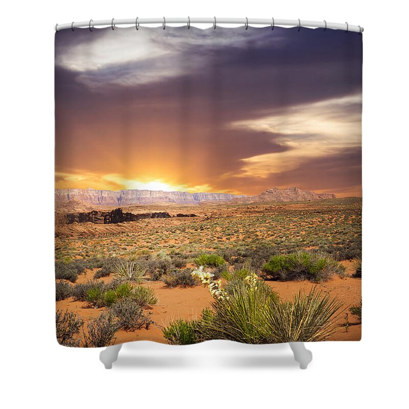 America Shower Curtain featuring the photograph An evening in the desert by Aged Pixel