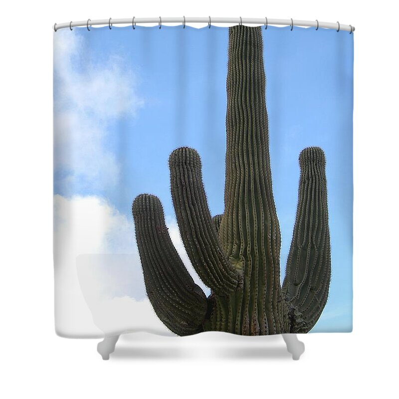 Saugoro Shower Curtain featuring the photograph Desert Statesman by Carolyn Jacob