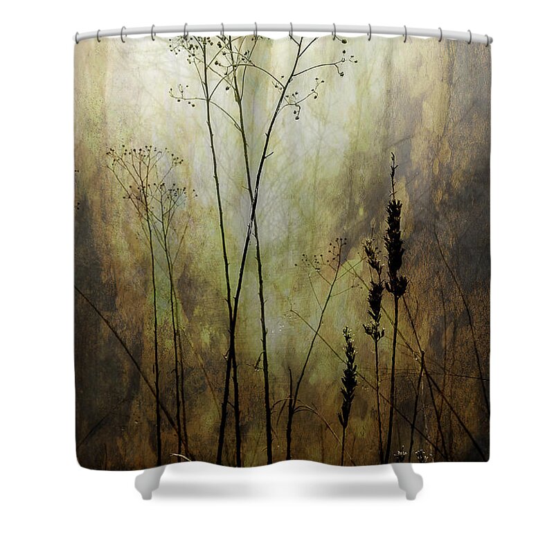 Fog Shower Curtain featuring the photograph Destiny Of The Silence by Michael Eingle