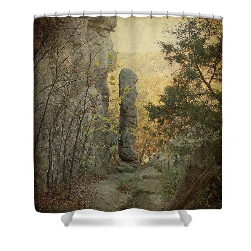 Shawnee National Forest Shower Curtain featuring the photograph Devil's Smokestack by Sandy Keeton