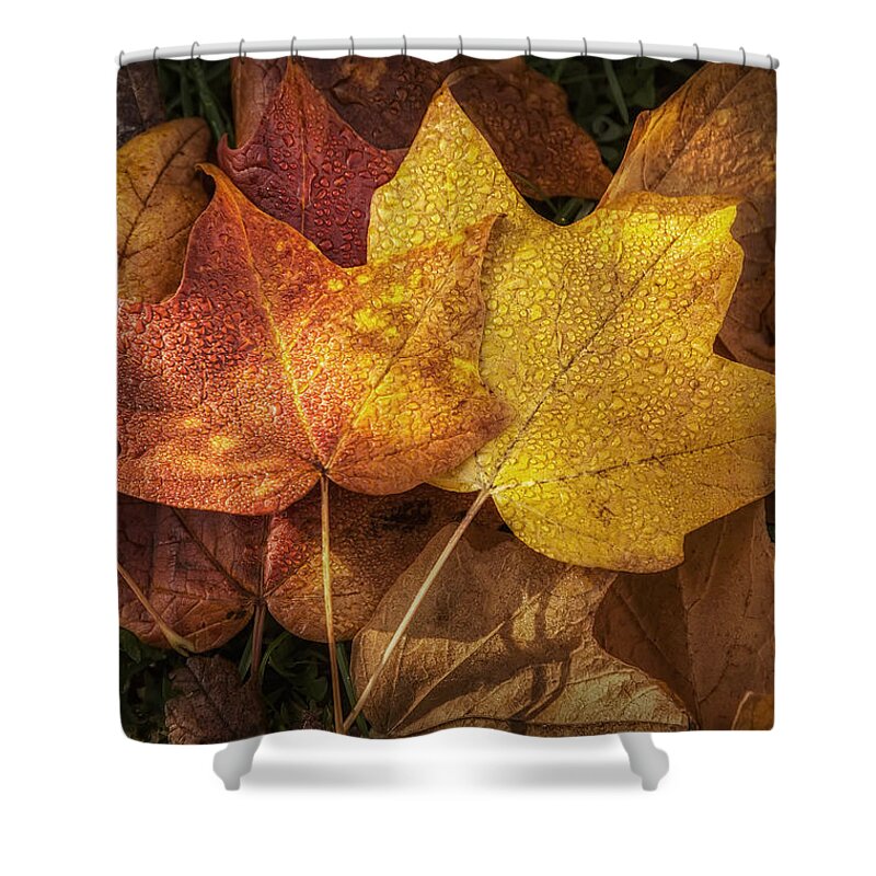 Leaf Shower Curtain featuring the photograph Dew on Autumn Leaves by Scott Norris