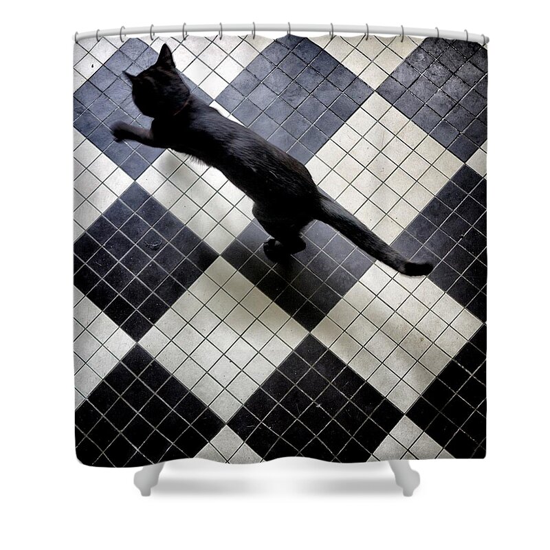 Pets Shower Curtain featuring the photograph Diamond Black Cat by Louise Legresley