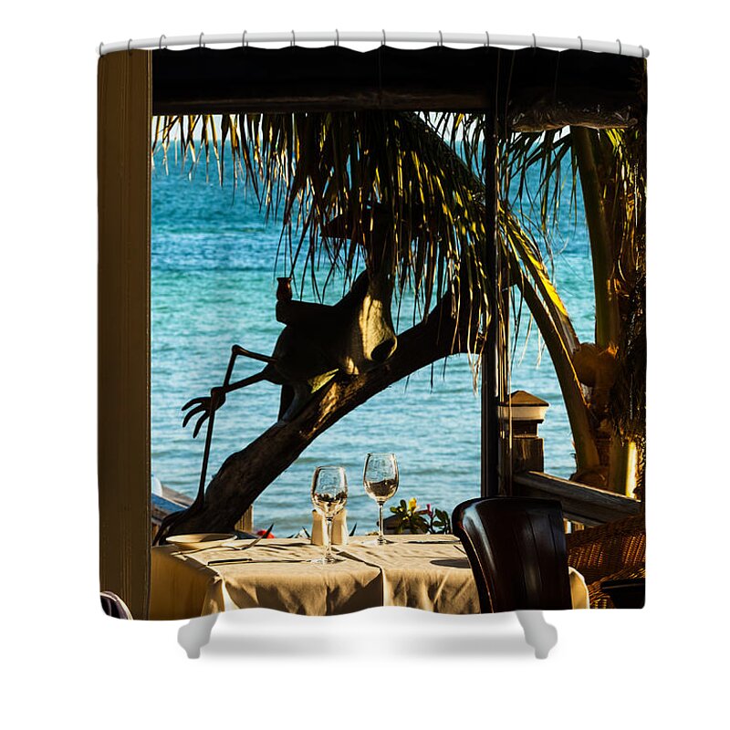 Backyard Shower Curtain featuring the photograph Dining For Two at Louie's Backyard by Ed Gleichman