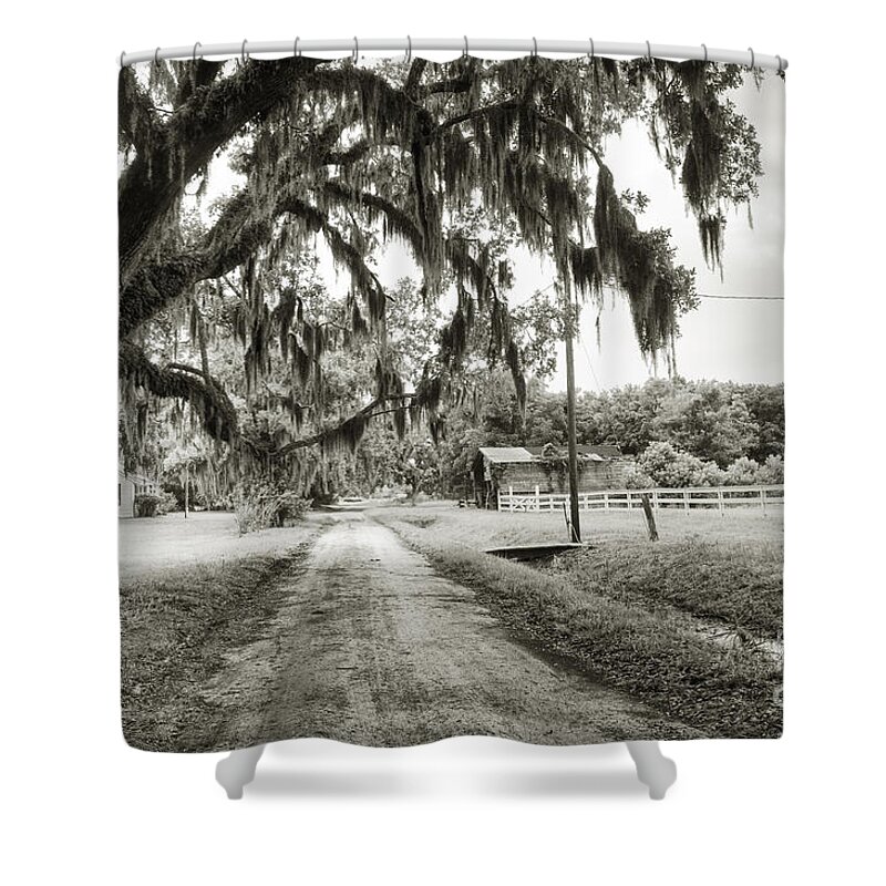 Live Oak Shower Curtain featuring the photograph Dirt Road on Coosaw Plantation by Scott Hansen