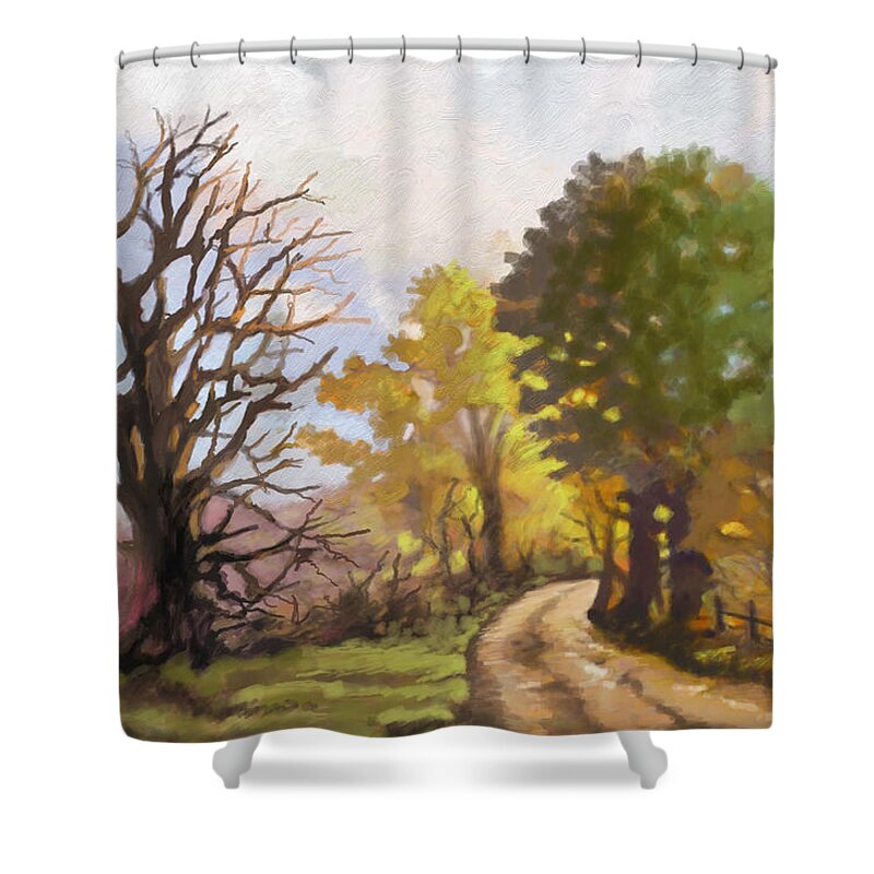 Landscape Shower Curtain featuring the painting Dirt road to some place by Anthony Mwangi