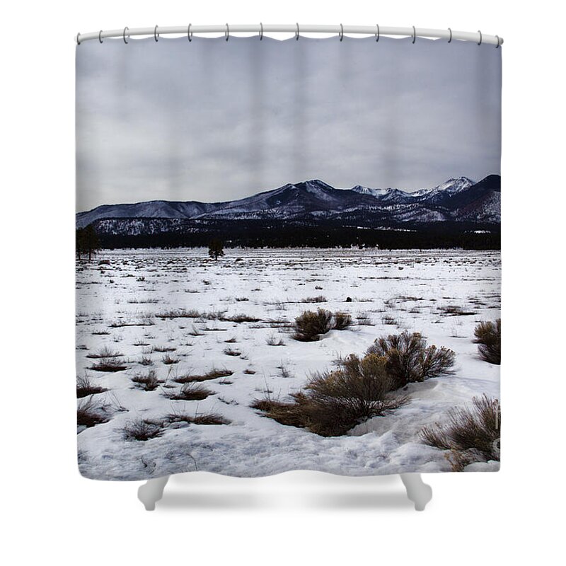 Road Shower Curtain featuring the photograph Distant-San Francisco Peaks V2 by Douglas Barnard