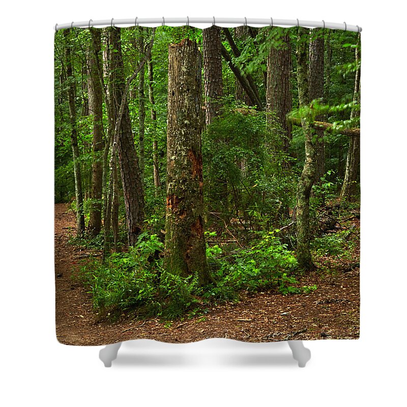 Landscapes Shower Curtain featuring the photograph Diverted Paths by Matthew Pace