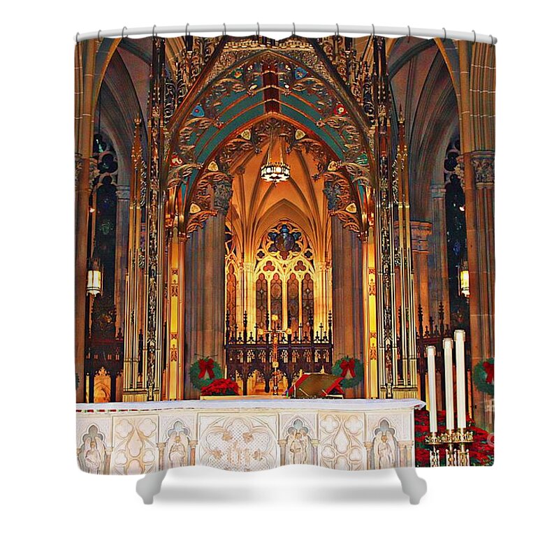 Marcia Lee Jones Shower Curtain featuring the photograph Divine Arches  by Marcia Lee Jones