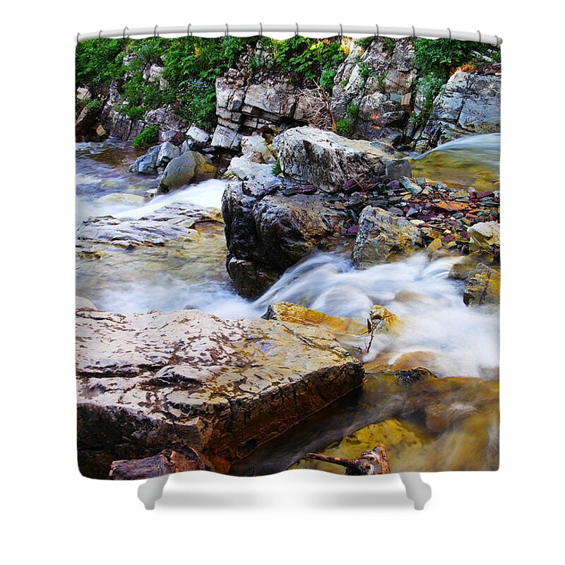 Rocks Shower Curtain featuring the photograph Diving Off The Ledge by Jeff Swan