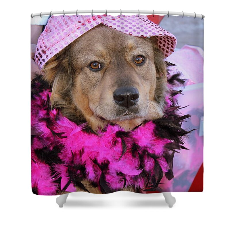 Dog Shower Curtain featuring the photograph Do You Like My Pink Hat by Fiona Kennard