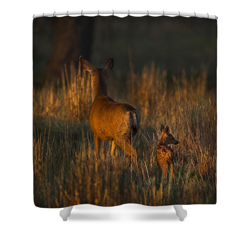 Wildlife Shower Curtain featuring the photograph Doe and Fawn by Jeff Shumaker