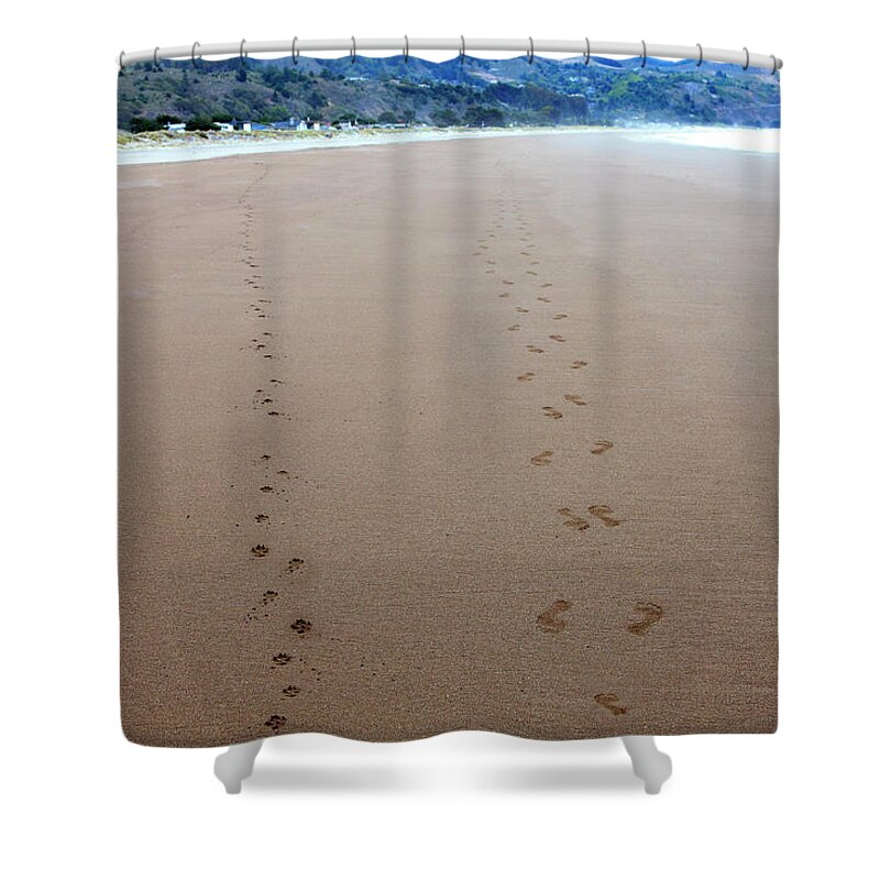 Tranquility Shower Curtain featuring the photograph Dog And Human Footprints On The Beach by Geri Lavrov
