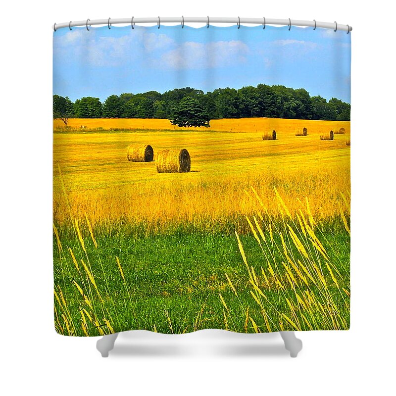 Dog Shower Curtain featuring the photograph Dog Days of summer by Frozen in Time Fine Art Photography
