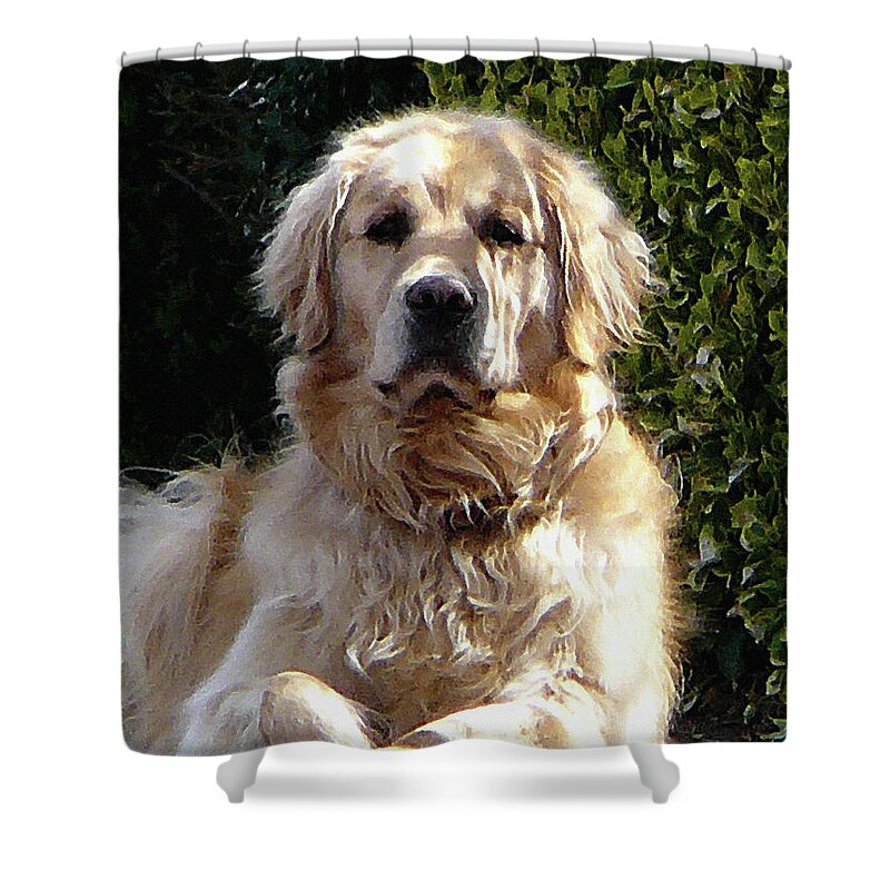 Dog Shower Curtain featuring the photograph Dog on Guard by Susan Savad