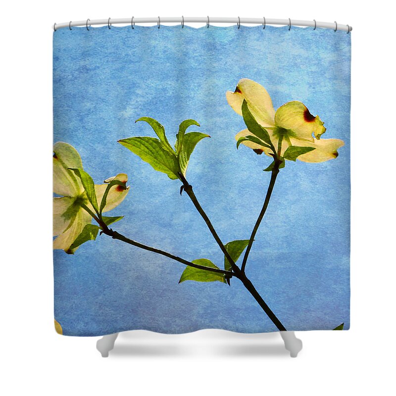 Dogwood Shower Curtain featuring the photograph Dogwood In Spring by Deena Stoddard