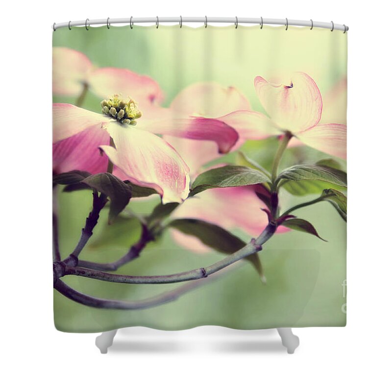 Dogwood Shower Curtain featuring the photograph Dogwood Love by Sylvia Cook