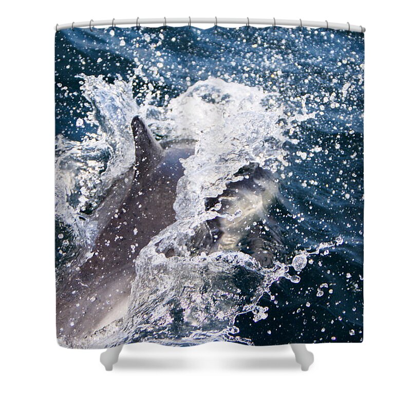 Animal Shower Curtain featuring the photograph Dolphin Splash by John Wadleigh