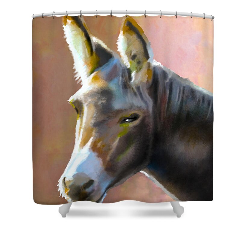 Zebra Shower Curtain featuring the painting Donkey Hee-Haw by Anthony Mwangi