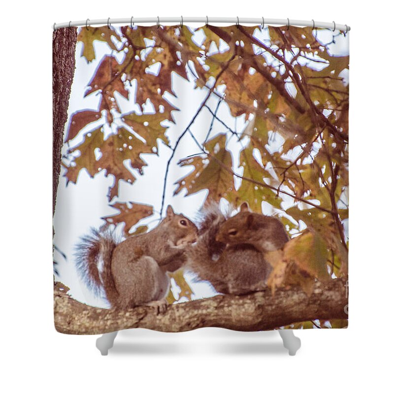 Animals Shower Curtain featuring the photograph Don't Worry Be Happy by Donna Brown