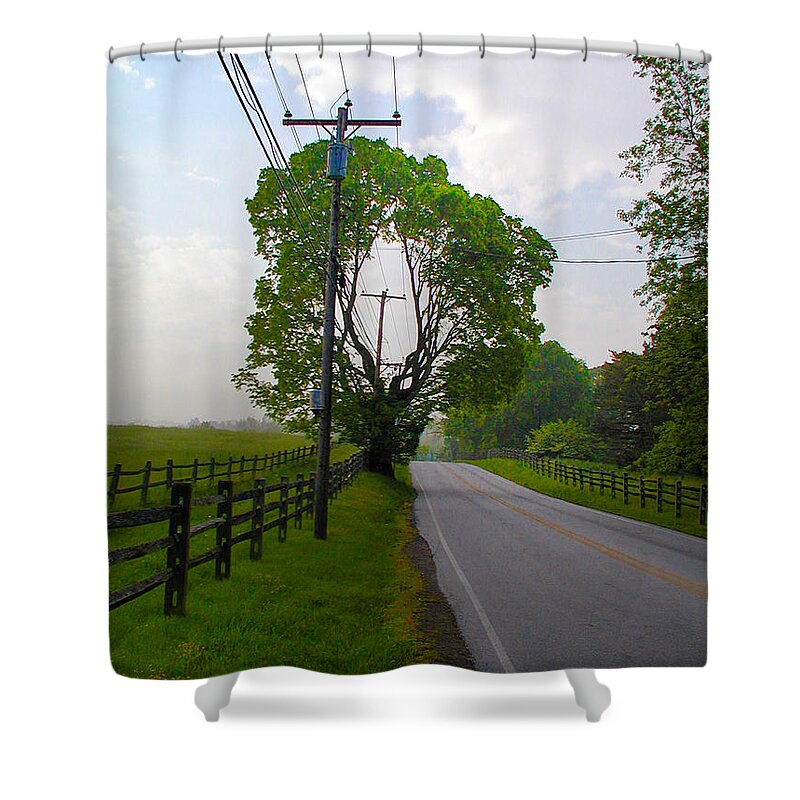 Donut Shower Curtain featuring the photograph Donut Hole Tree by Bill Cannon