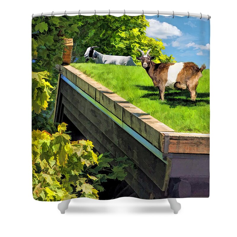 Door County Shower Curtain featuring the painting Door County Al Johnsons Swedish Restaurant Goats by Christopher Arndt